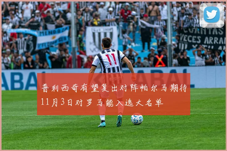 普利西奇有望复出对阵帕尔马期待11月3日对罗马能入选大名单