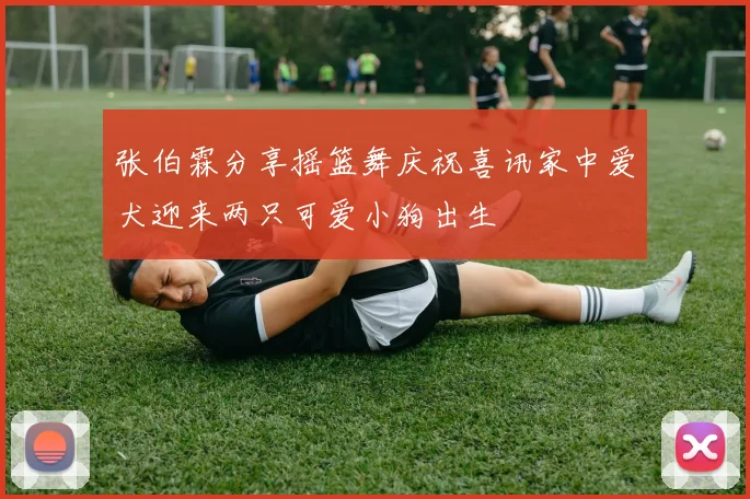 张伯霖分享摇篮舞庆祝喜讯家中爱犬迎来两只可爱小狗出生