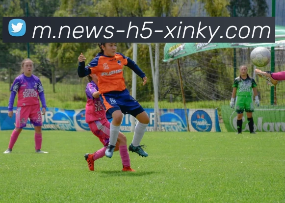 开元棋牌平台生态图